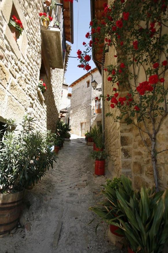 La Posadica Casa Aldabe * San Martin de Unx